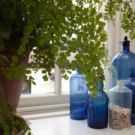 Willowhill House Bed And Breakfast P43 Yk06-3